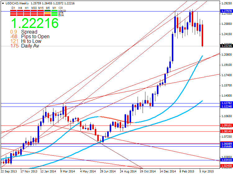 New digital forex