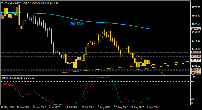 Technical Analysis-xauusd-d1-alpari.png