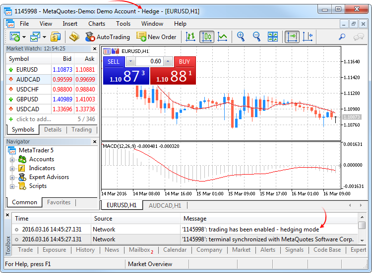 Metatrader 5 Overview-terminal_1__1.png