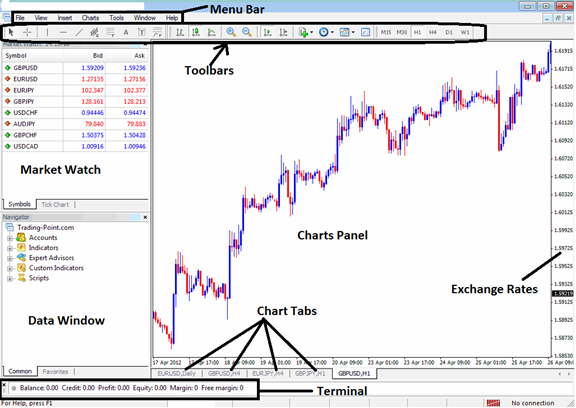 MetaTrader 4 Platform Overview-mt4_2.png