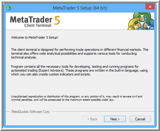 Metatrader 5 Overview-mt5-64-bit-setup-begin_1.png