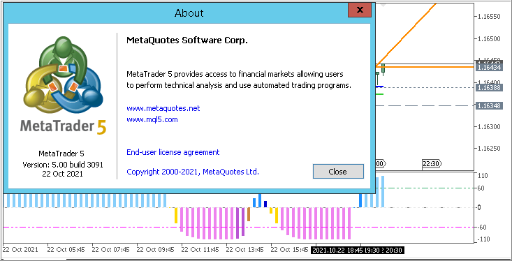 Metatrader 5 Overview-3091.png