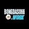 bongdaso66work's Avatar