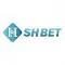 shbet1cfd's Avatar