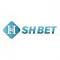 shbet1org's Avatar