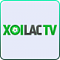 xoilactvtube's Avatar