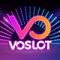 VOSLOT's Avatar