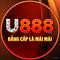 u8884com's Avatar