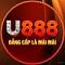 u888bco's Avatar