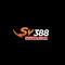 ssv88com's Avatar