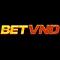 betvnd's Avatar