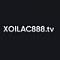xoilac1site's Avatar