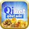 qibetwiki's Avatar