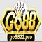 go8822pro's Avatar
