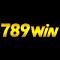 789winklukcom's Avatar