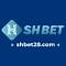 shbet28com's Avatar