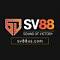 sv88uscom1's Avatar