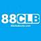 88clbabcvipcom's Avatar