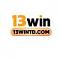 13wintdcom's Avatar