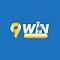 9winwebsite's Avatar