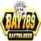 bay789beer's Avatar