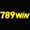 789wiinautos's Avatar