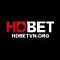 hdbetvnorg's Avatar