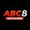 abc8horse's Avatar