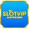 Slotviprun's Avatar