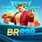 br898net's Avatar