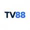 tv88gbnet's Avatar
